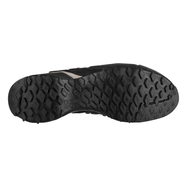 Dámske topánky | Wildfire edge GTX